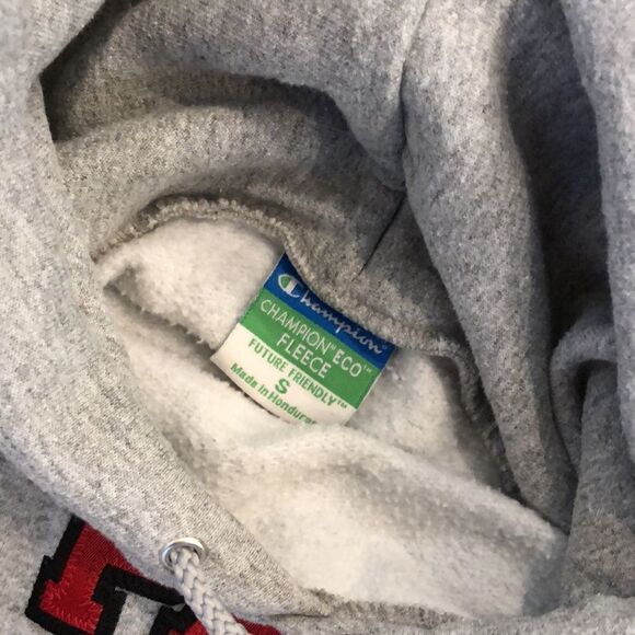Champion Eco Fleece Hooded Gray Sweatshirt ‘St. Paul’s’ (S) - Picture 3 of 3